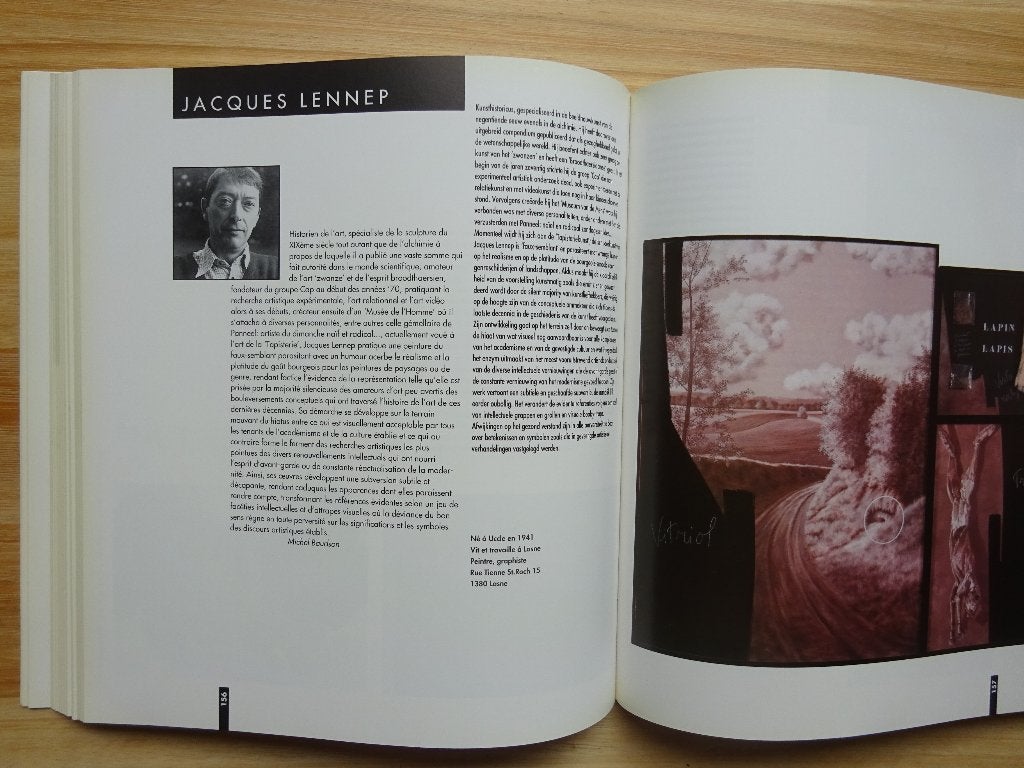 Confrontaties / 111 Hedendaagse kunstenaars  1993, Boeken, Ophalen of Verzenden, Zo goed als nieuw, Schilder- en Tekenkunst