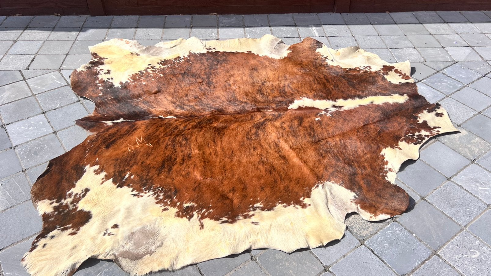 Groot koevel, Vintage, 150 à 200 cm, Utilisé, Autres formes