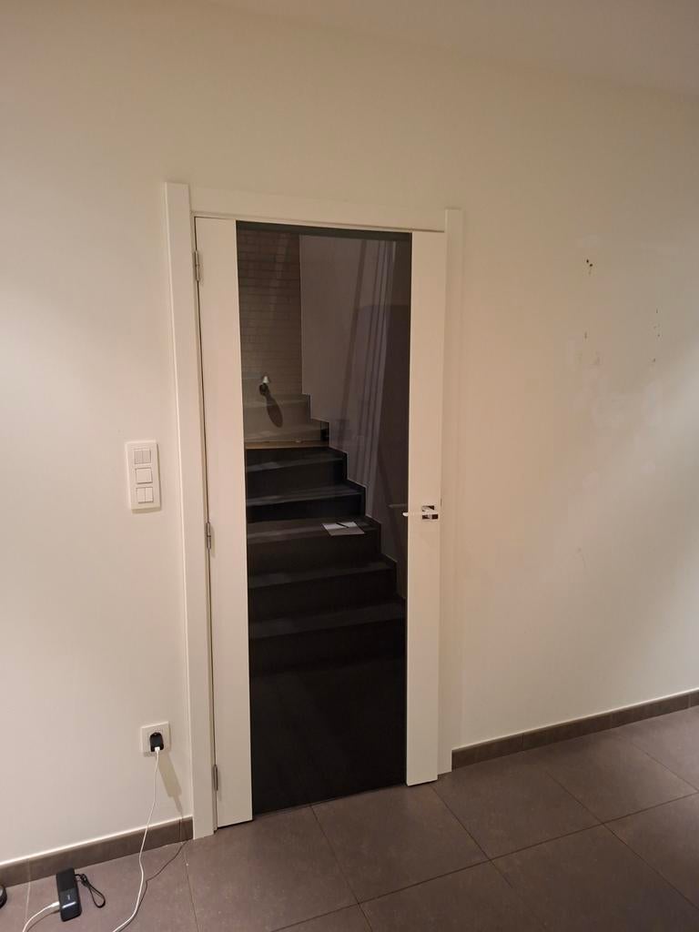 Binnendeur met glas, Doe-het-zelf en Bouw, Deuren en Vliegenramen, Ophalen, Glas, Binnendeur
