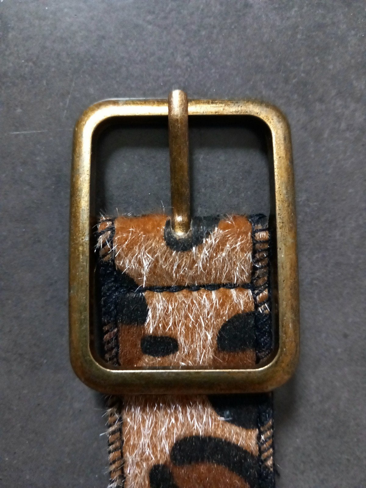 nieuwe riem met pantermotief -> 2€, Ophalen, 3 tot 5 cm, Bruin, 90 tot 100 cm