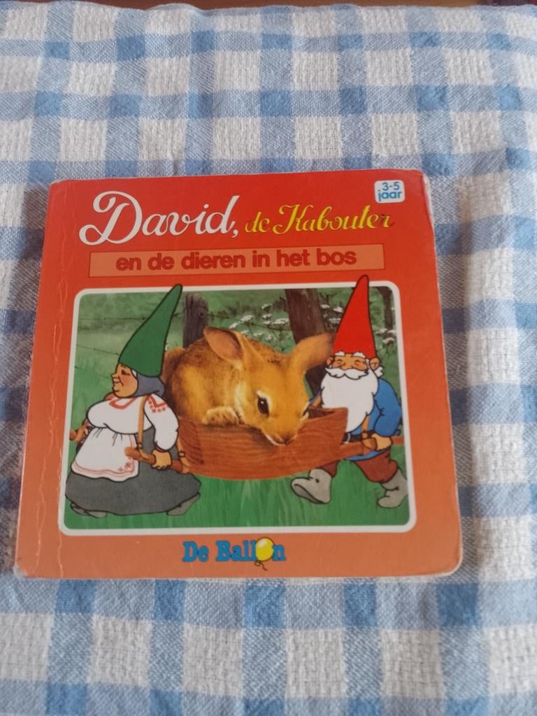 David de kabouter en de dieren in het bos, Ophalen of Verzenden, Gelezen