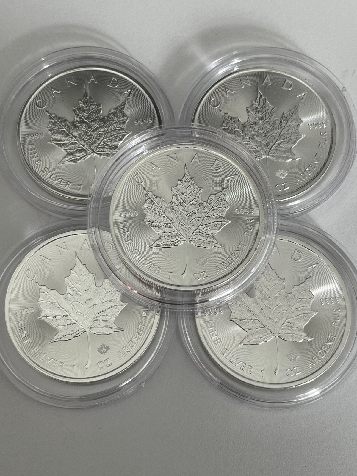 5 pièces en argent (1 oz) Maple Leaf, neuves en capsule, Enlèvement ou Envoi