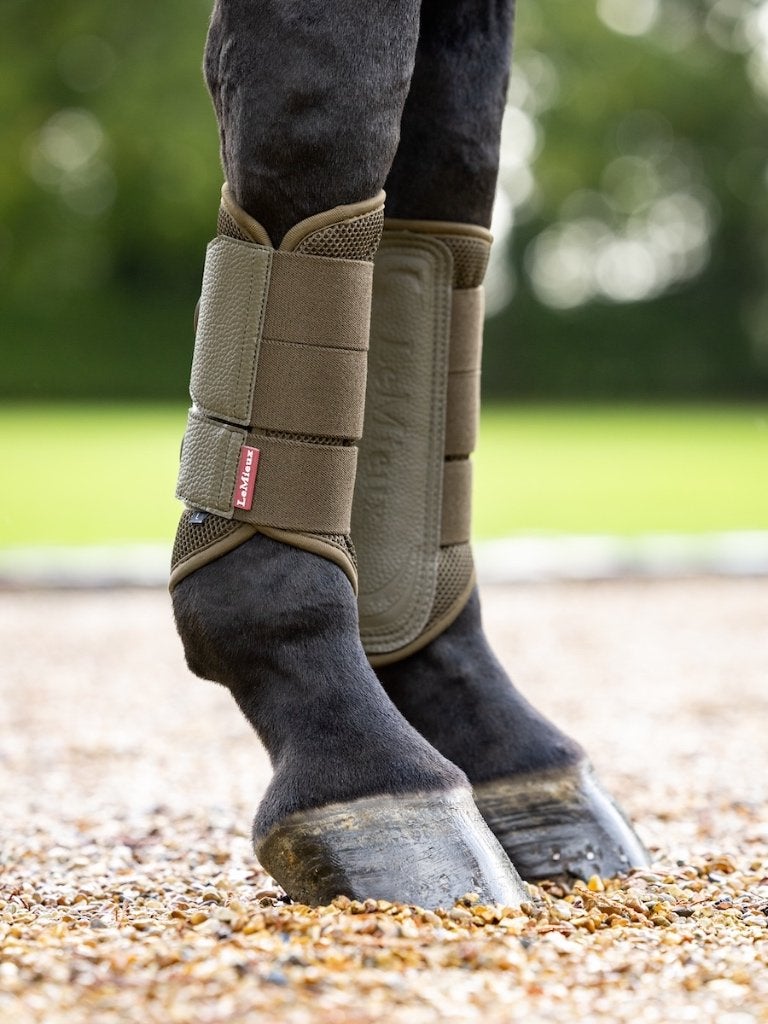 LeMieux Arika Mesh Brushing Beenbeschermers Alpine L SALE50%, Lemieux, Schokabsorberend, Nieuw, Ophalen of Verzenden