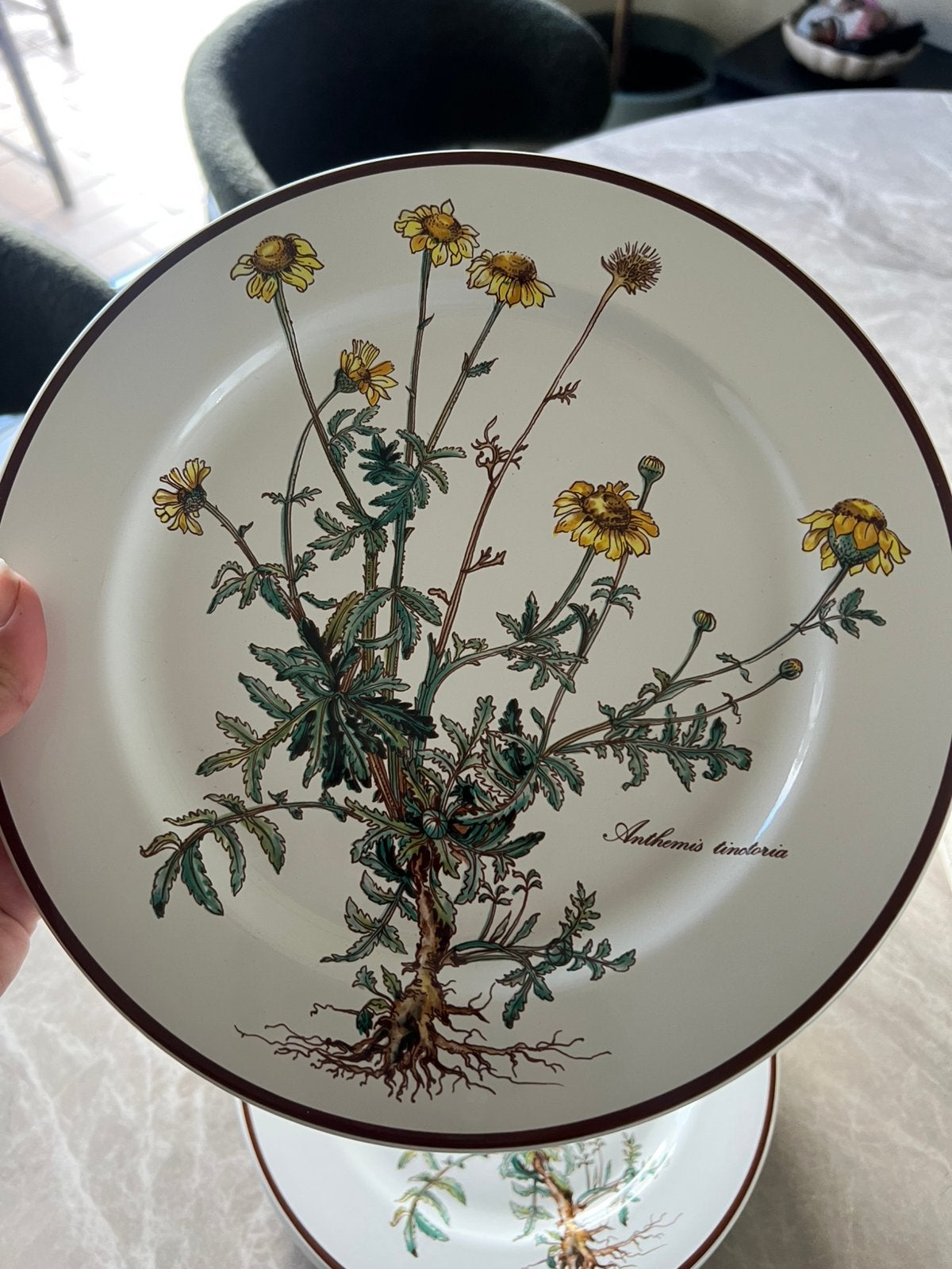12x borden Villeroy&boch BOTANICA, Ophalen