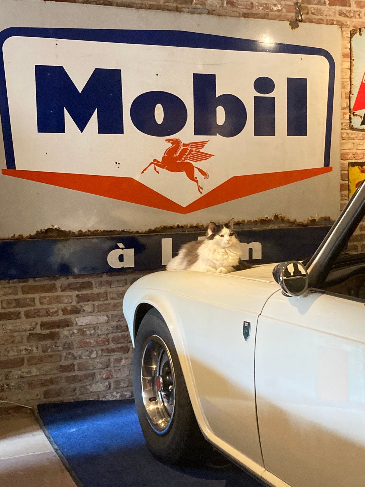 Triumph TR 6, Auto's, 2500 cc, Achterwielaandrijving, Zwart, Cabriolet