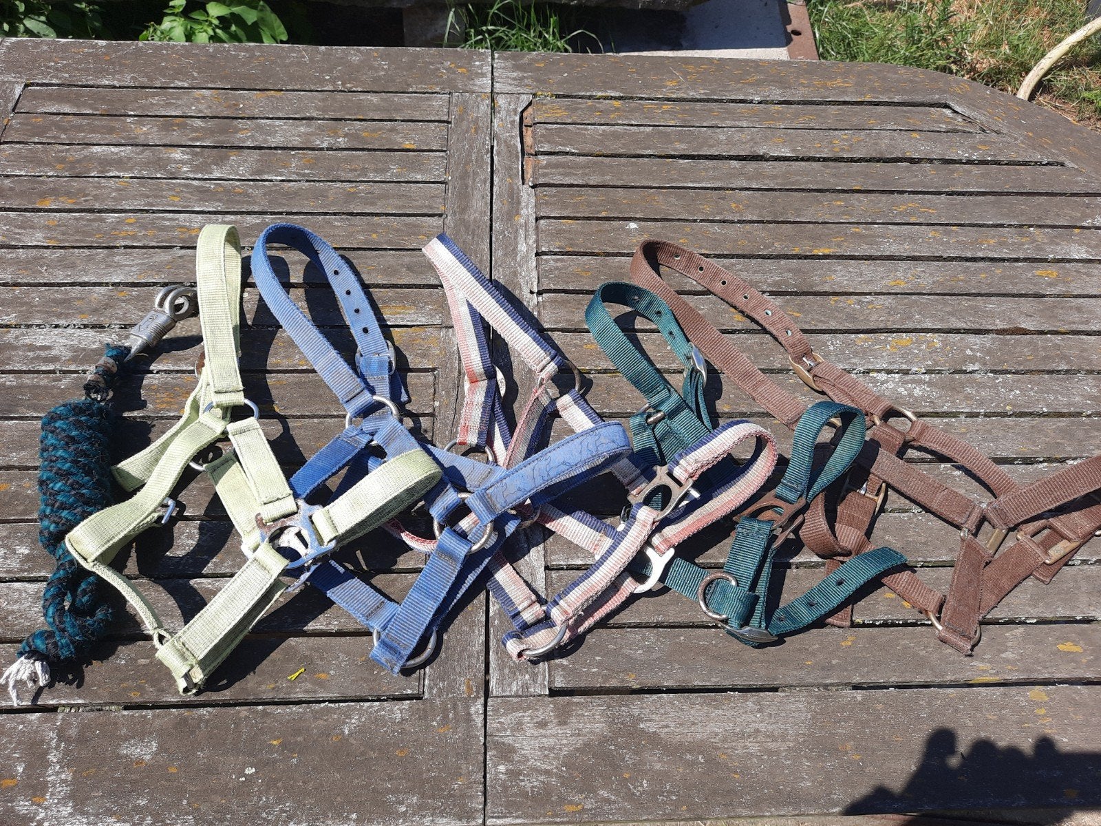 5 verschillende halsters maat pony + 1 halstertouw, Dieren en Toebehoren, Gebruikt, Overige disciplines, Meerkleurig, Halster