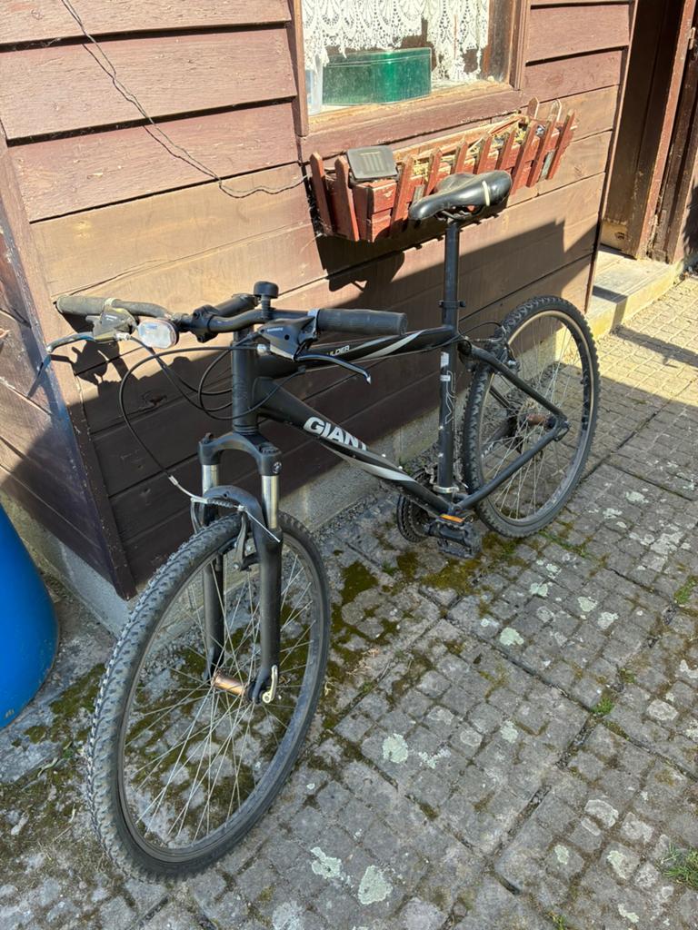 MTB, Fietsen en Brommers, Fietsen | Mountainbikes en ATB, Ophalen, Gebruikt, Heren, Giant