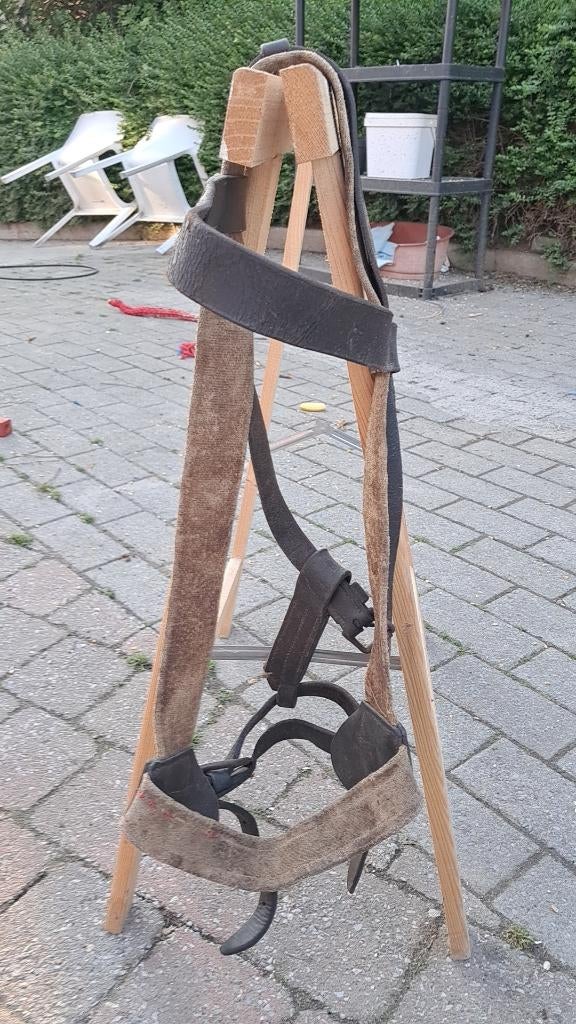 Oud boerenhalster maat cob, Dieren en Toebehoren, Ophalen, Gebruikt, Recreatie