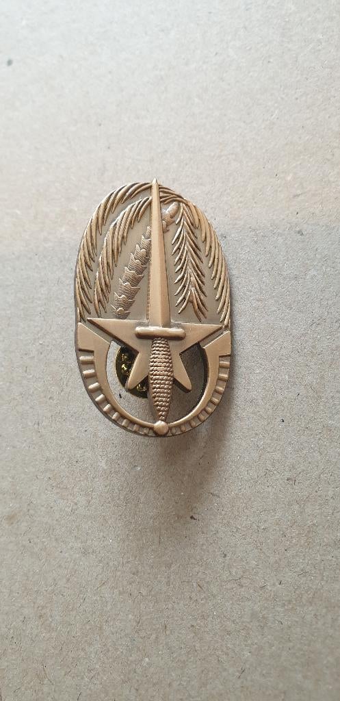 Plaques d'immatriculation, Collections, Enlèvement ou Envoi, Armée de terre, Emblème ou Badge