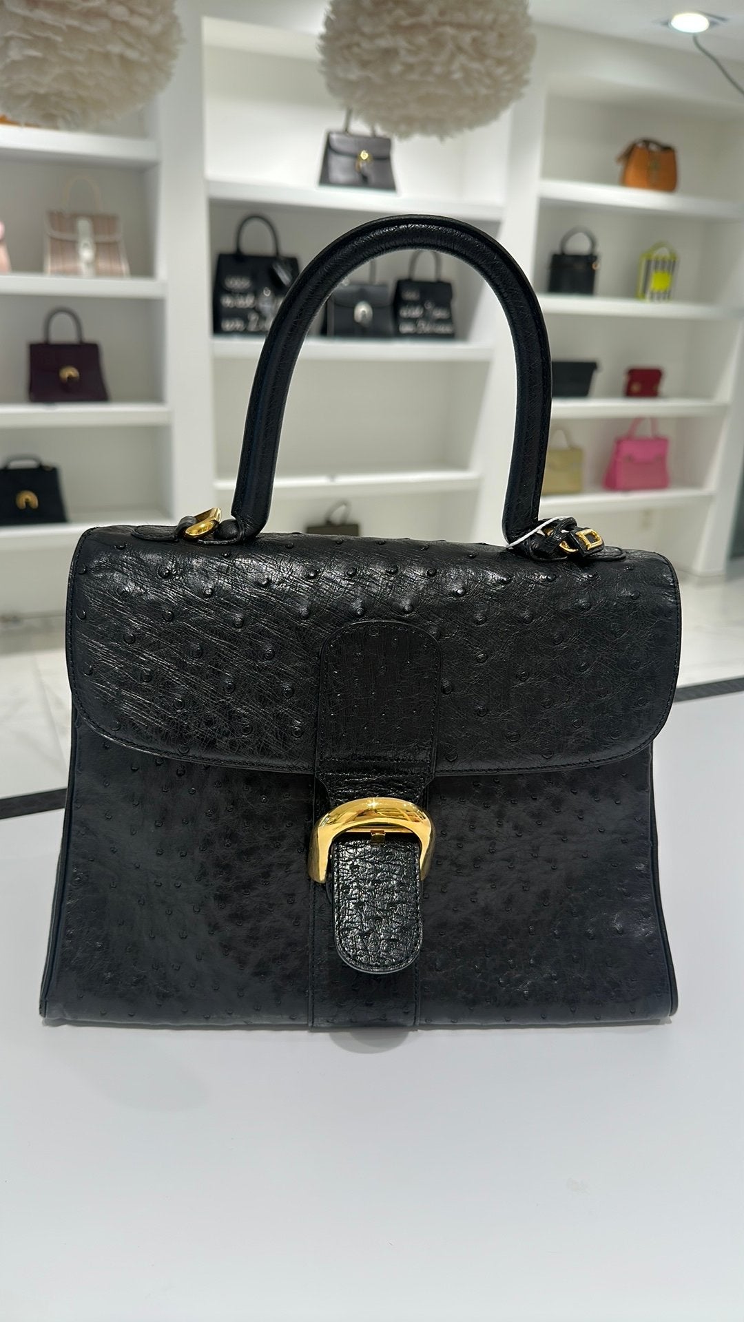 Delvaux Brillant MM Ostrich, Ophalen, Zo goed als nieuw