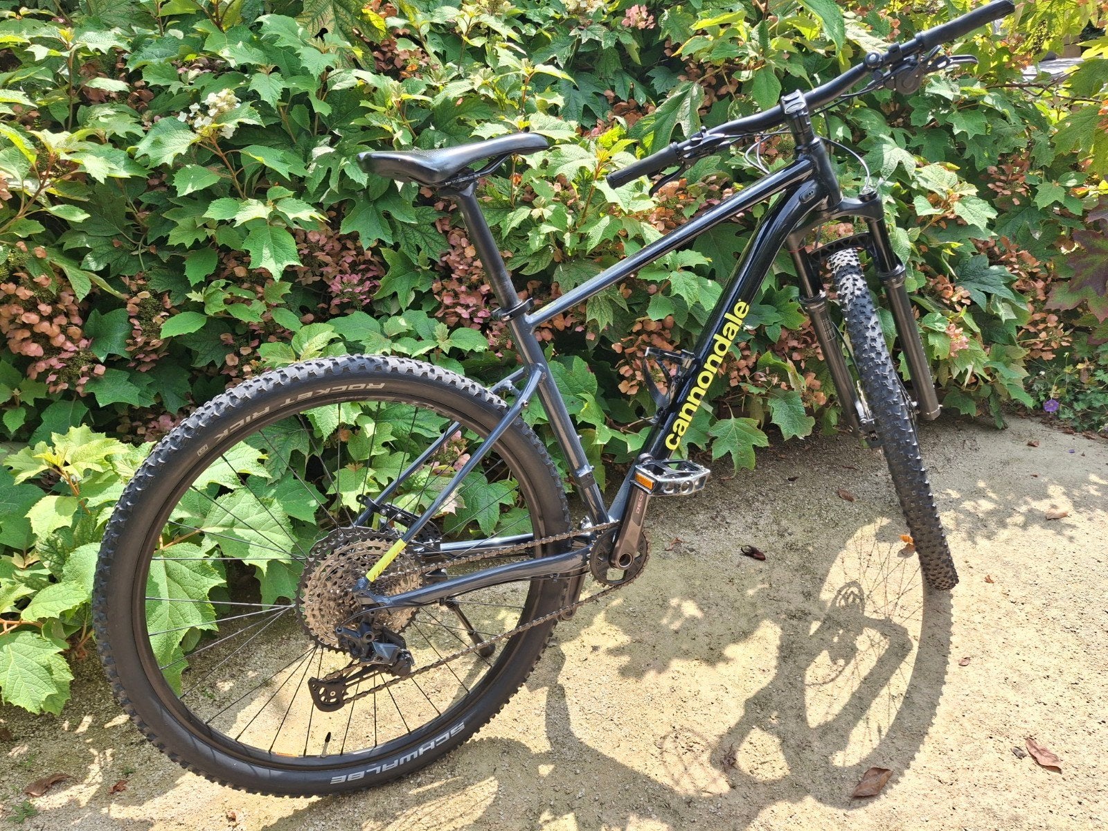 Mountainbike Cannondale Trail Two, Fietsen en Brommers, Hardtail, Ophalen, Schijfrem, Heren