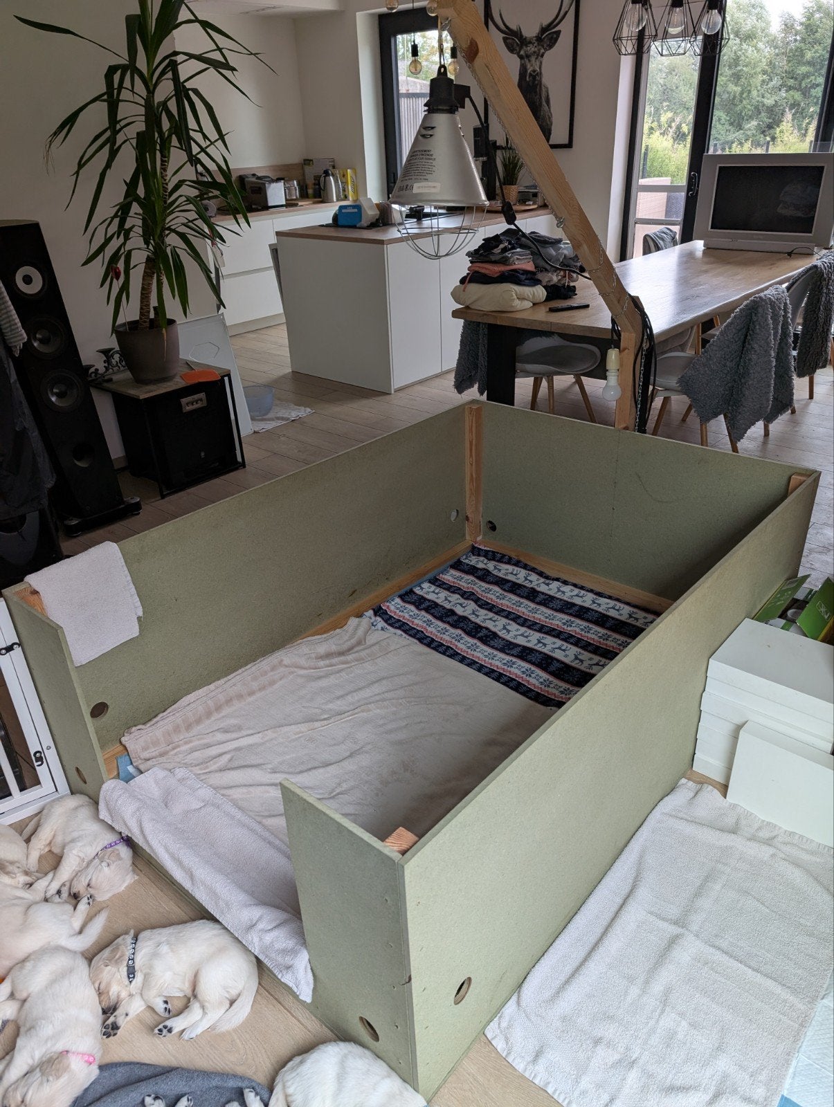 Werpkist hond + warmtelamp + anti-doodlig + vetbed + poortje, Ophalen, Werpkist