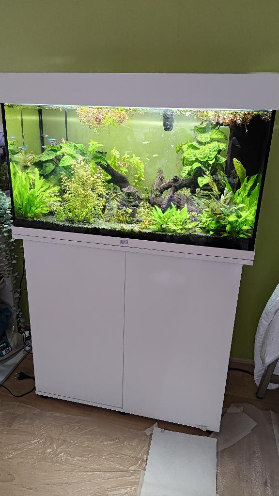 aquarium Juwel Rio 125 wit, Dieren en Toebehoren, Vissen | Aquaria en Toebehoren, Ophalen, Zo goed als nieuw, Leeg aquarium, Verwarming