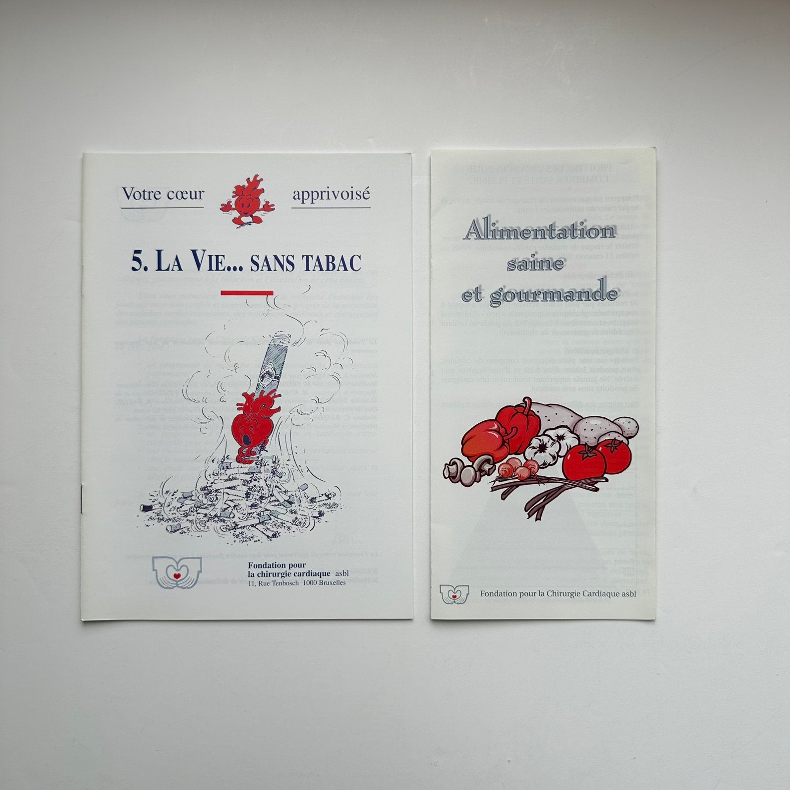 Franquin/Tibet Gaston Lagaffe brochure vie sans tabac 1990, Collections, Envoi, Gaston ou Spirou, Neuf, Image, Affiche ou Autocollant