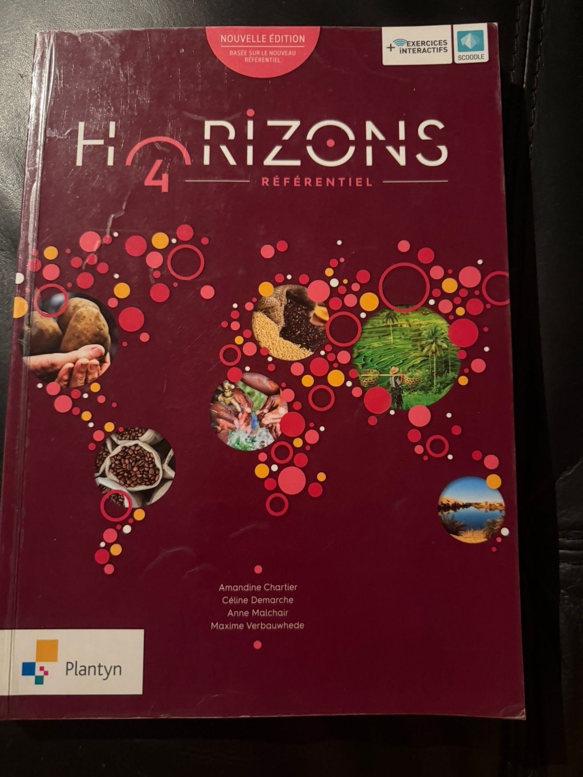 Horizon 4. Géographie plantyn, Livres, Livres scolaires, Enlèvement ou Envoi, Comme neuf, Secondaire, Géographie