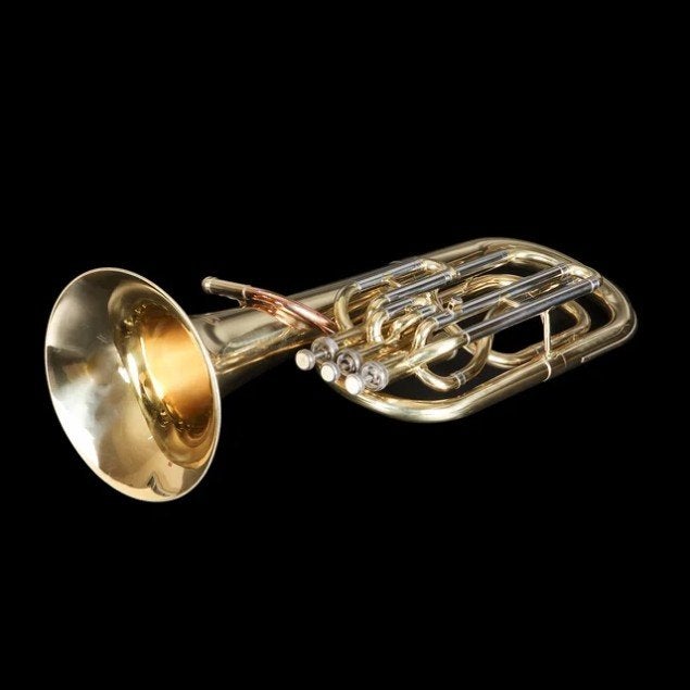 Bariton, Musique & Instruments, Instruments à vent | Saxophones, Enlèvement, Neuf, Bariton, Avec valise