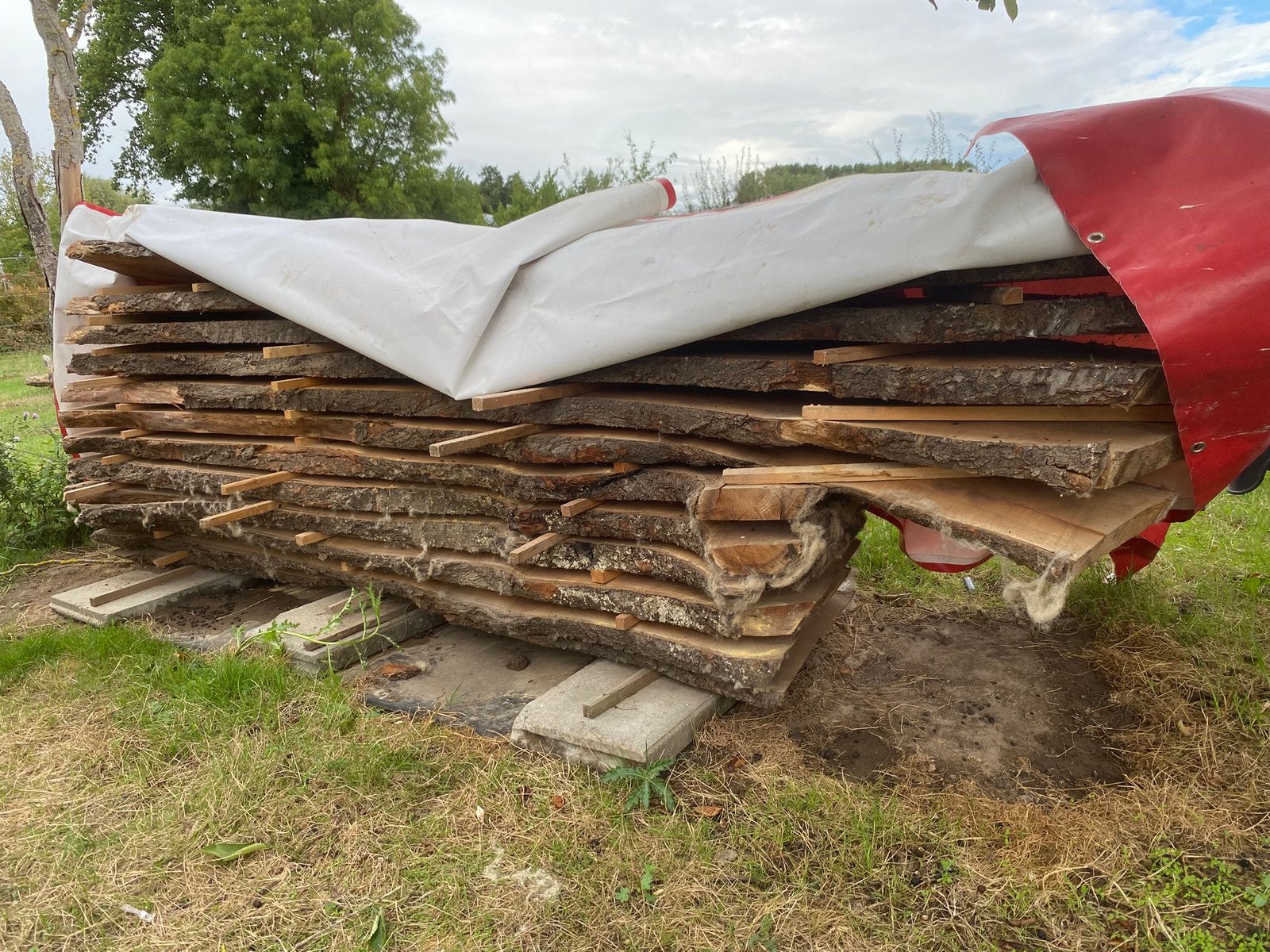 Kersenhout schaaldelen, Ophalen, Zo goed als nieuw, Planken