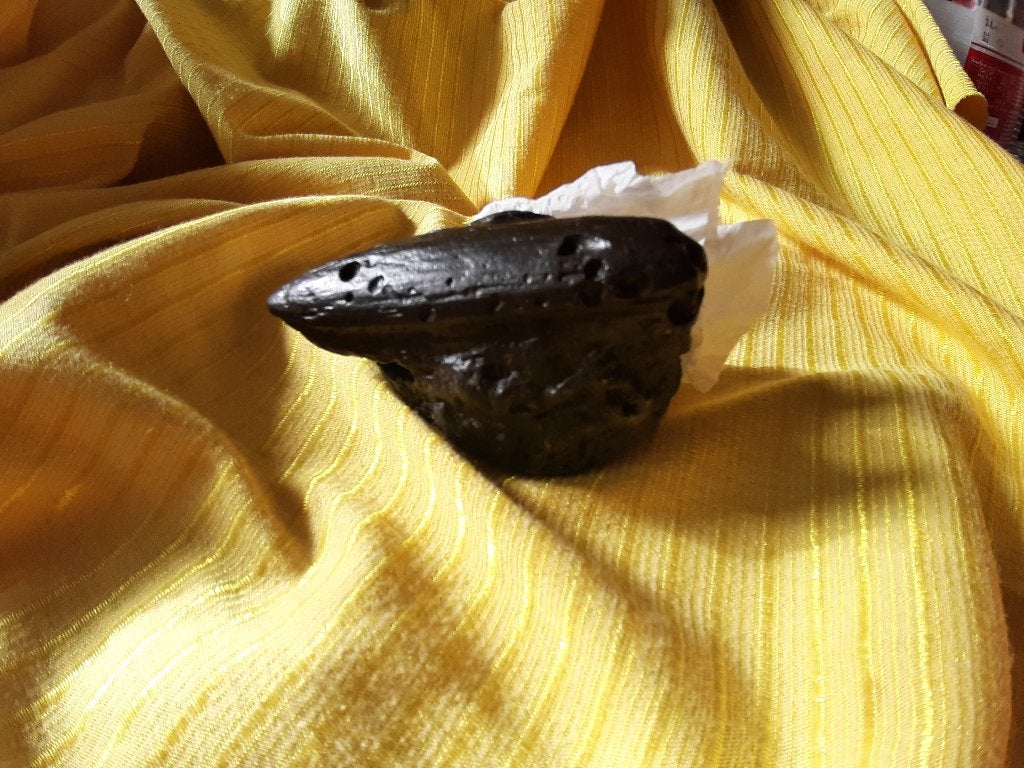 Fossile de Rostre de Bélemnite, Enlèvement ou Envoi, Fossile