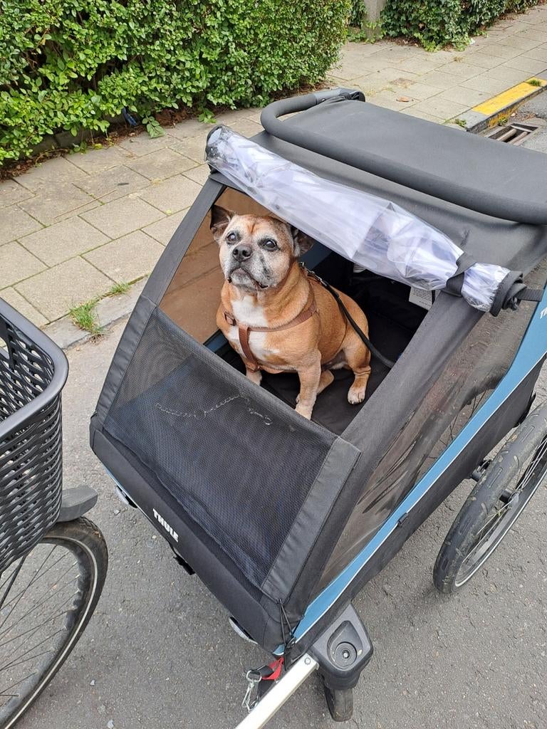 Remorque vélo et poussette thule courrier, Enlèvement