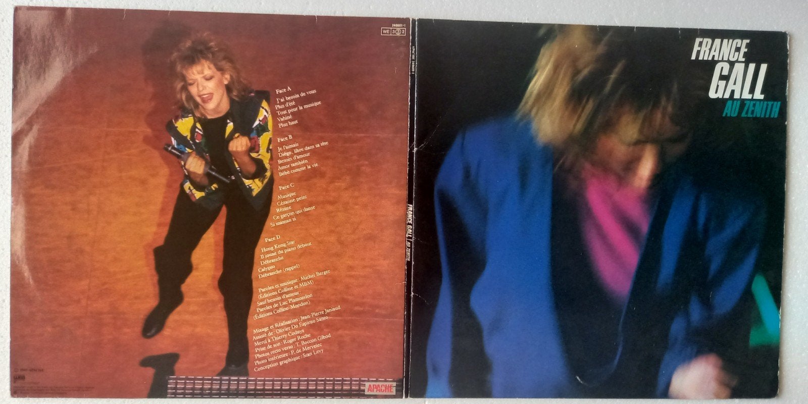 DOUBLE LP FRANCE GALL AU ZÉNITH, Double LP, Enlèvement ou Envoi, Double LP