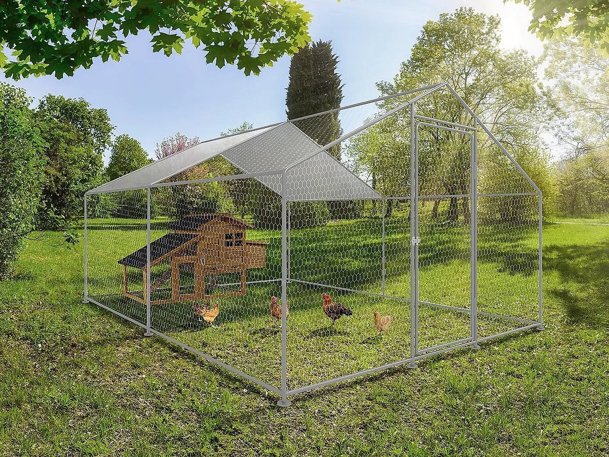 Kippenren 3x4, Dieren en Toebehoren