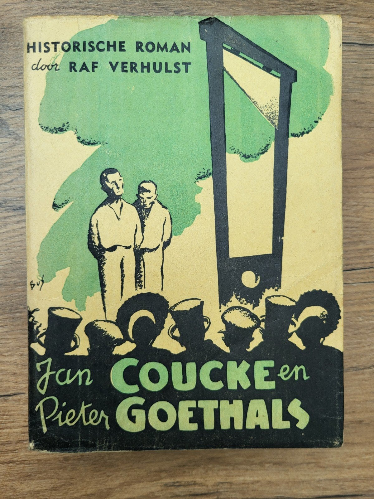 Raf Verhulst - Jan Coucke en Pieter Goethals, Boeken, Ophalen of Verzenden, Gelezen