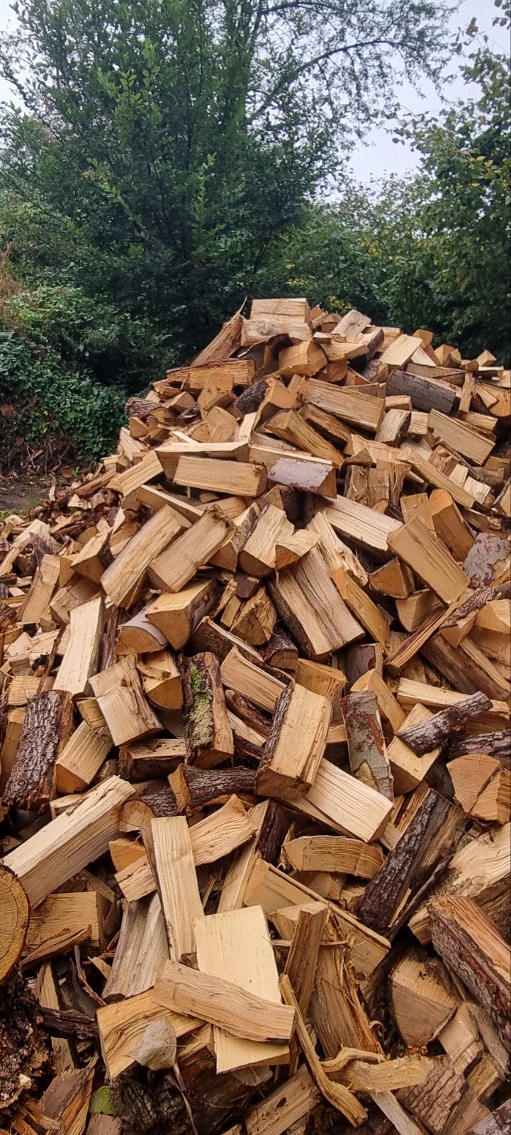 bois de chauffage sec : chêne, hêtre, frêne, Enlèvement