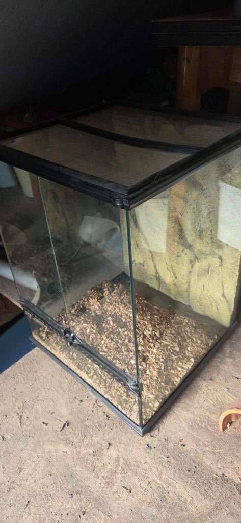 Terrarium exo terra., Dieren en Toebehoren, Ophalen