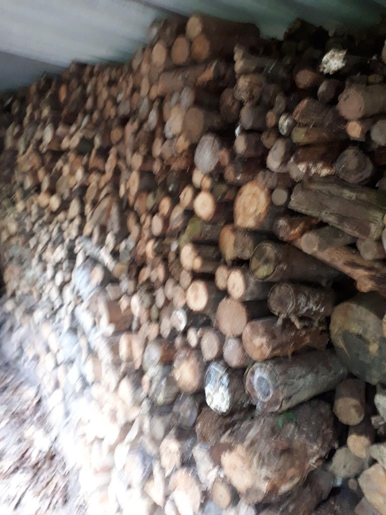 Droog stookhout, Tuin en Terras, 6 m³ of meer, Ophalen, Overige houtsoorten, Stammen