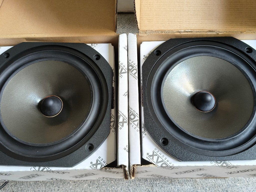 RARE - Paire HP Audax HM210Z0 apairés, Enlèvement ou Envoi, Comme neuf