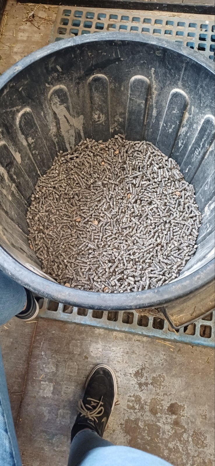gedroogde bietenpulp maalderij roossens, Dieren en Toebehoren, Ophalen, Overige soorten