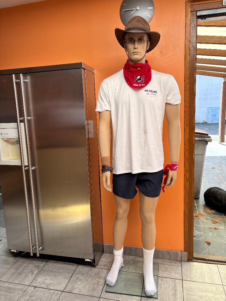 Mannequin homme vitrine ou déco, Ophalen, Gebruikt