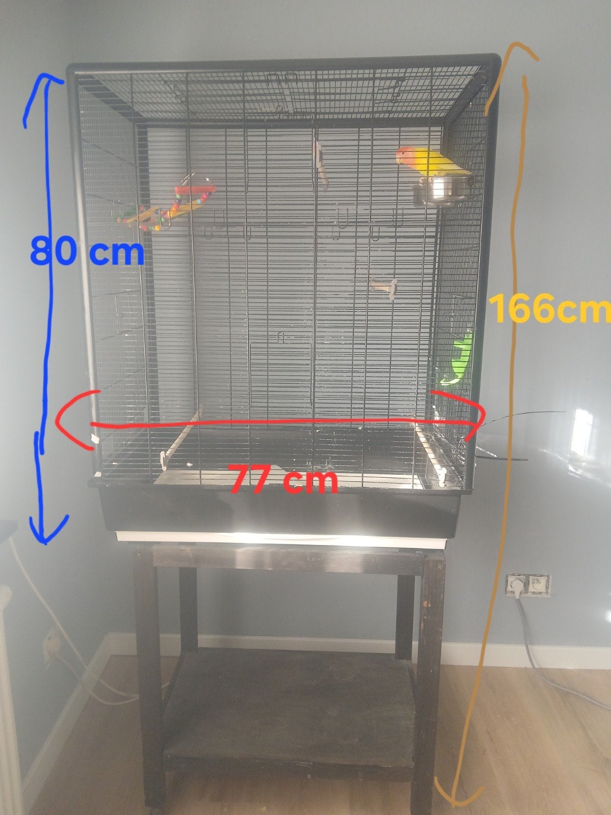 Tourtereau avec cage, Animaux & Accessoires, Oiseaux | Cages & Volières, Enlèvement, Comme neuf, Autres matériaux, Autres types
