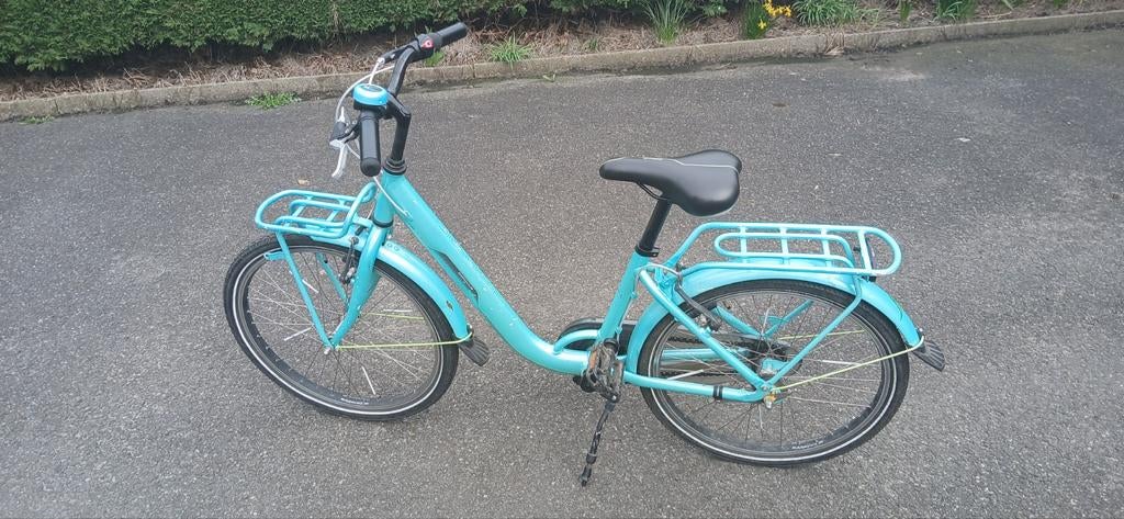 Fiets batavus, Enlèvement