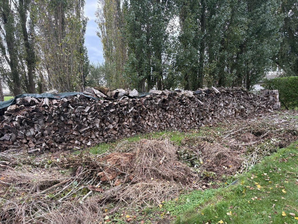 Populieren brandhout te koop, Tuin en Terras, 6 m³ of meer, Ophalen, Overige houtsoorten, Stammen