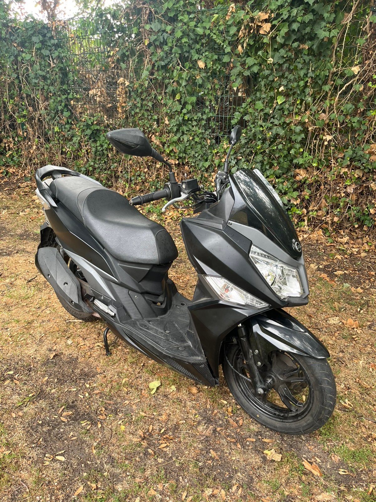 Sym Jet 14, Autres modèles, 49 cm³, Comme neuf, Classe B (45 km/h)
