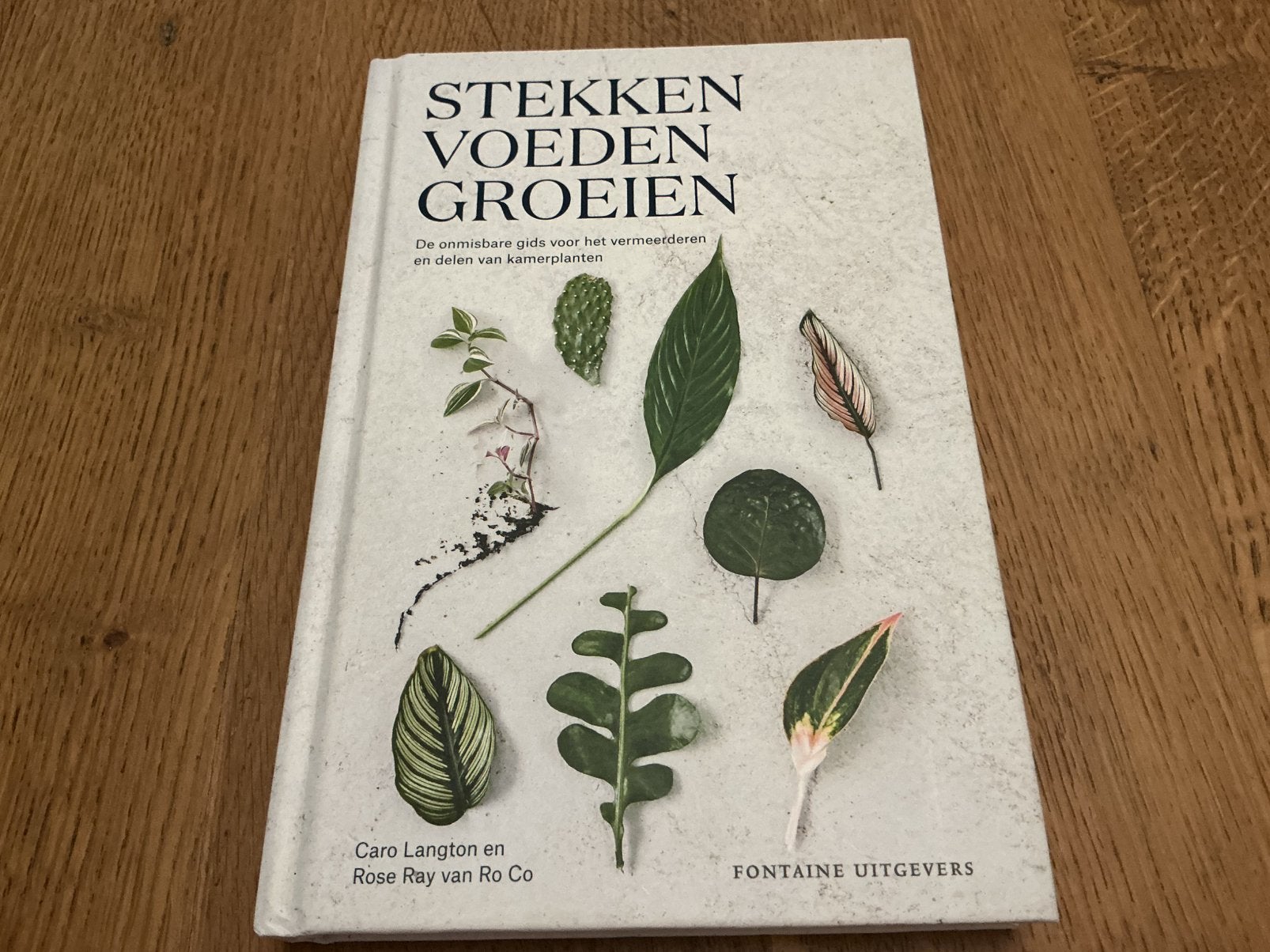 Caro Langton - Stekken, voeden, groeien -verzenden mogelijk, Livres, Maison & Jardinage, Comme neuf, Plantes d'intérieur, Enlèvement