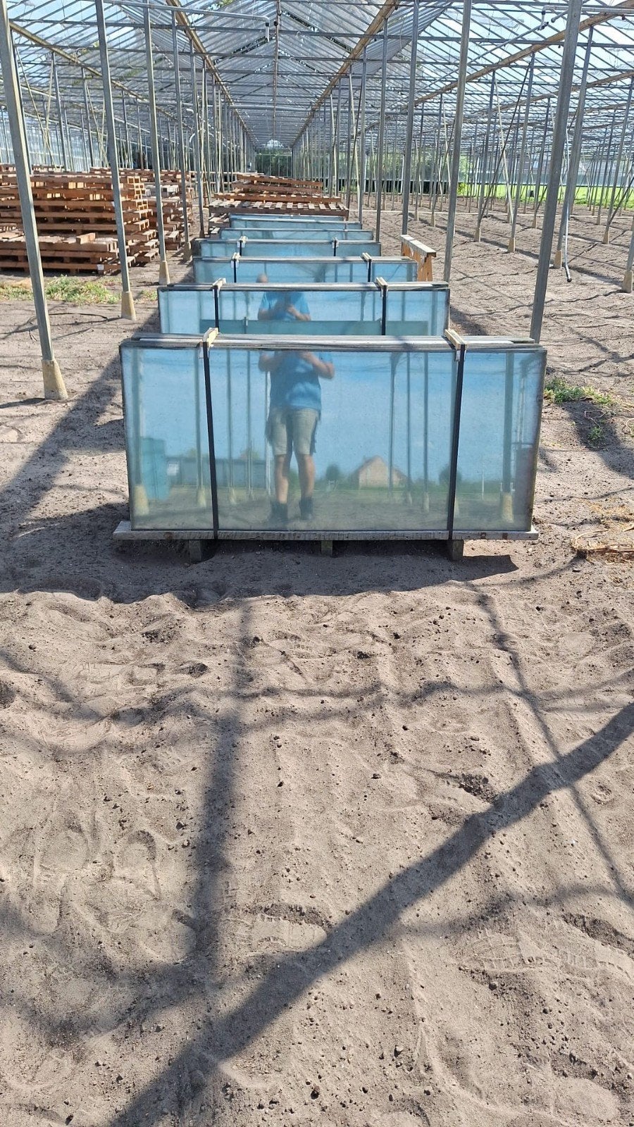 Serre  glas, Ophalen of Verzenden, Glas