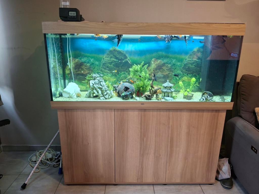 Aquarium juwel 400L complet avec poissons et décorations., Dieren en Toebehoren, Vissen | Aquaria en Toebehoren, Ophalen