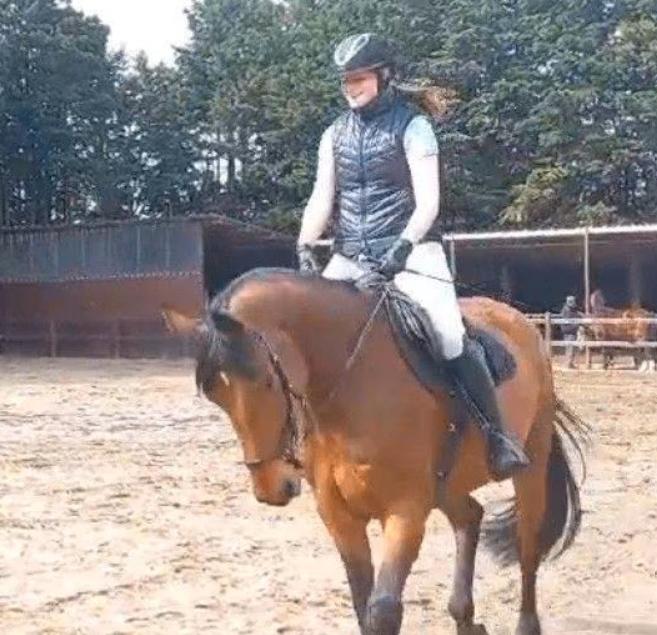 Paard te lease gezocht (verplaatsbaar), Dieren en Toebehoren, Pony's, Merrie