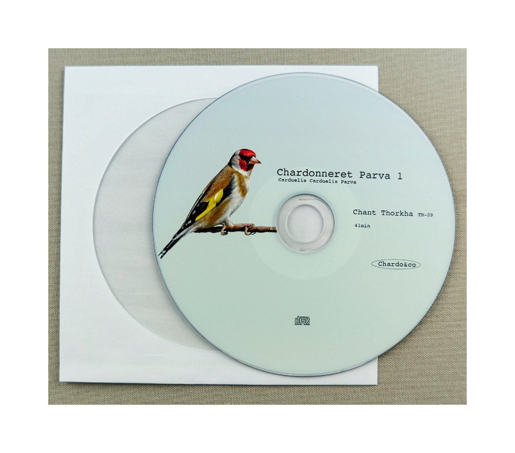 Chant de chardonneret, Parva, Elégant, Britannica ..., Animaux & Accessoires, Oiseaux | Oiseaux Autre, Plusieurs animaux, Oiseau chanteur sauvage