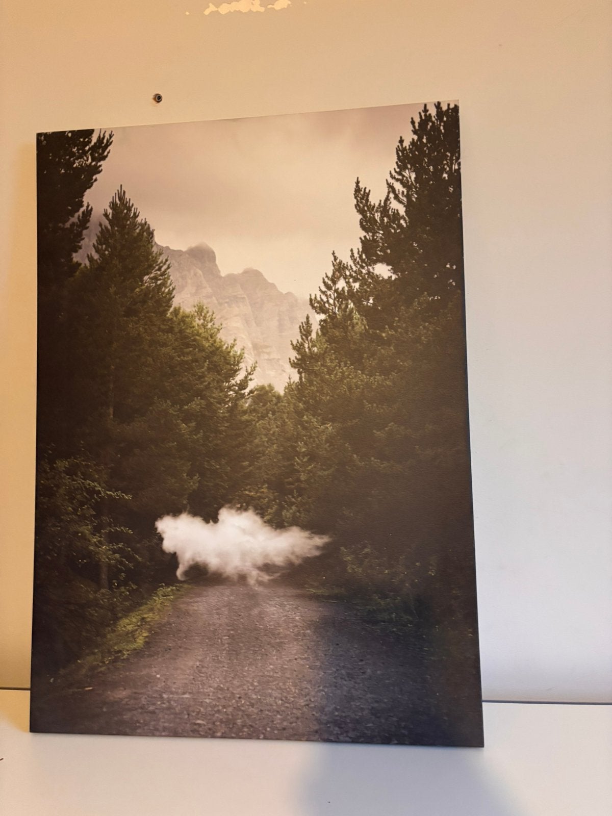 Canvas, Huis en Inrichting, Ophalen of Verzenden