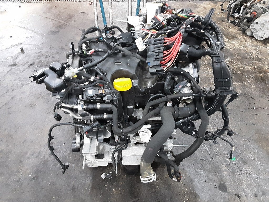 MOTOR Renault Clio V (RJAB) (01-2019/-) (K9K876), Gebruikt, Renault, Mevr. I. Hauben, Rue de l'Espoir 34 34
4030  GRIVEGNÉE, BE