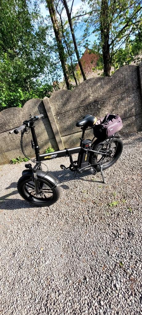 Elektrische plooi mini fiets, Fietsen en Brommers, Elektrische fietsen, Ophalen