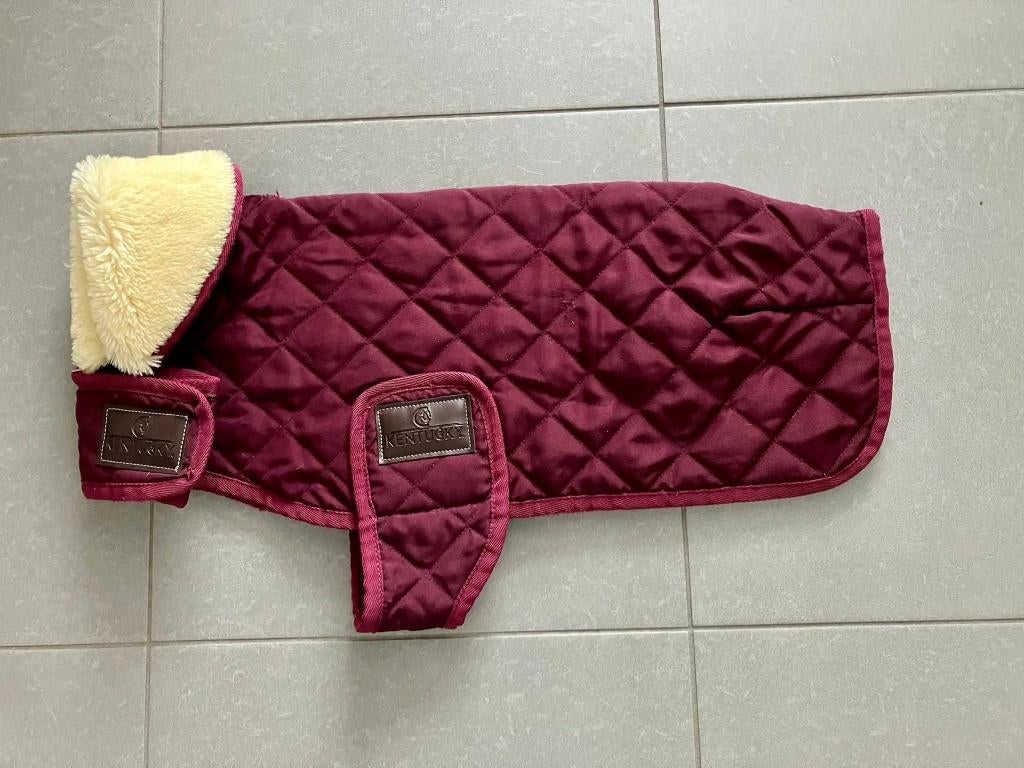 Kentucky Dogwear Hondenjas Original Bordeaux maat L, Dieren en Toebehoren, Ophalen of Verzenden, Hondenjas