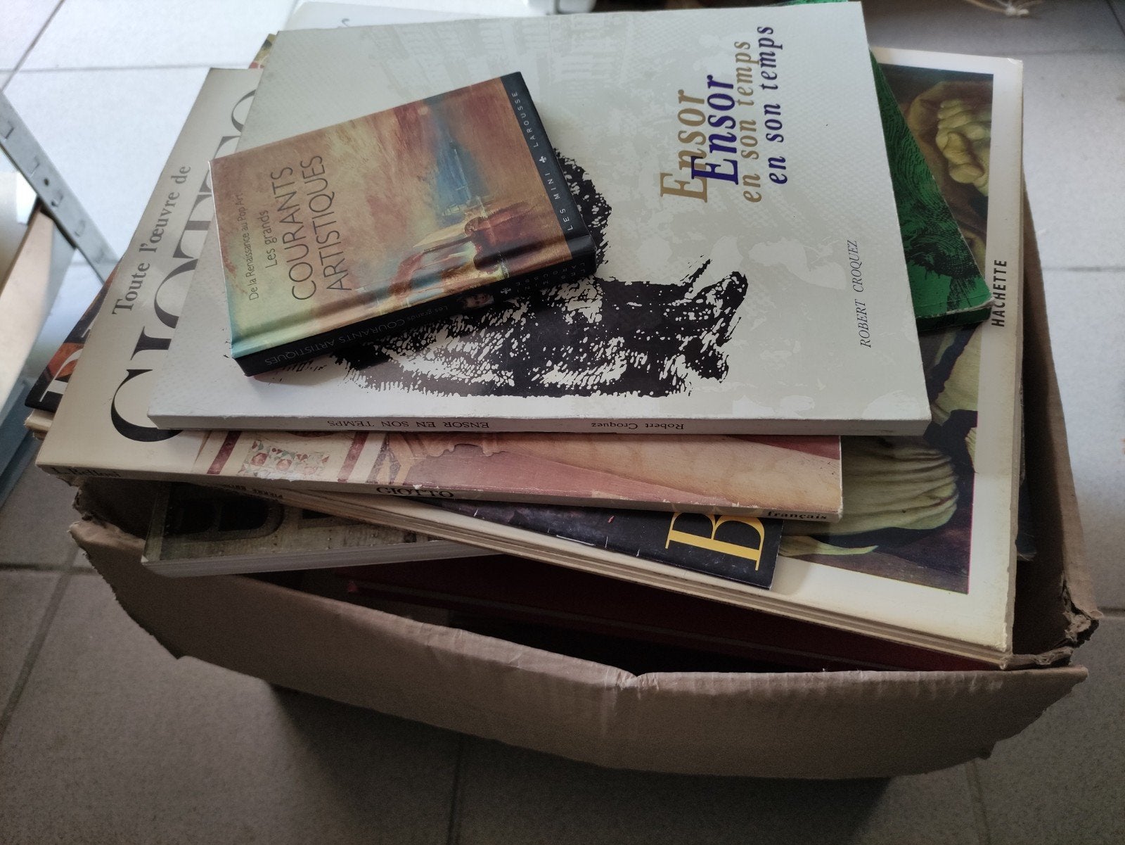 Groot lot FRANSTALIGE kunstboeken, Ophalen of Verzenden