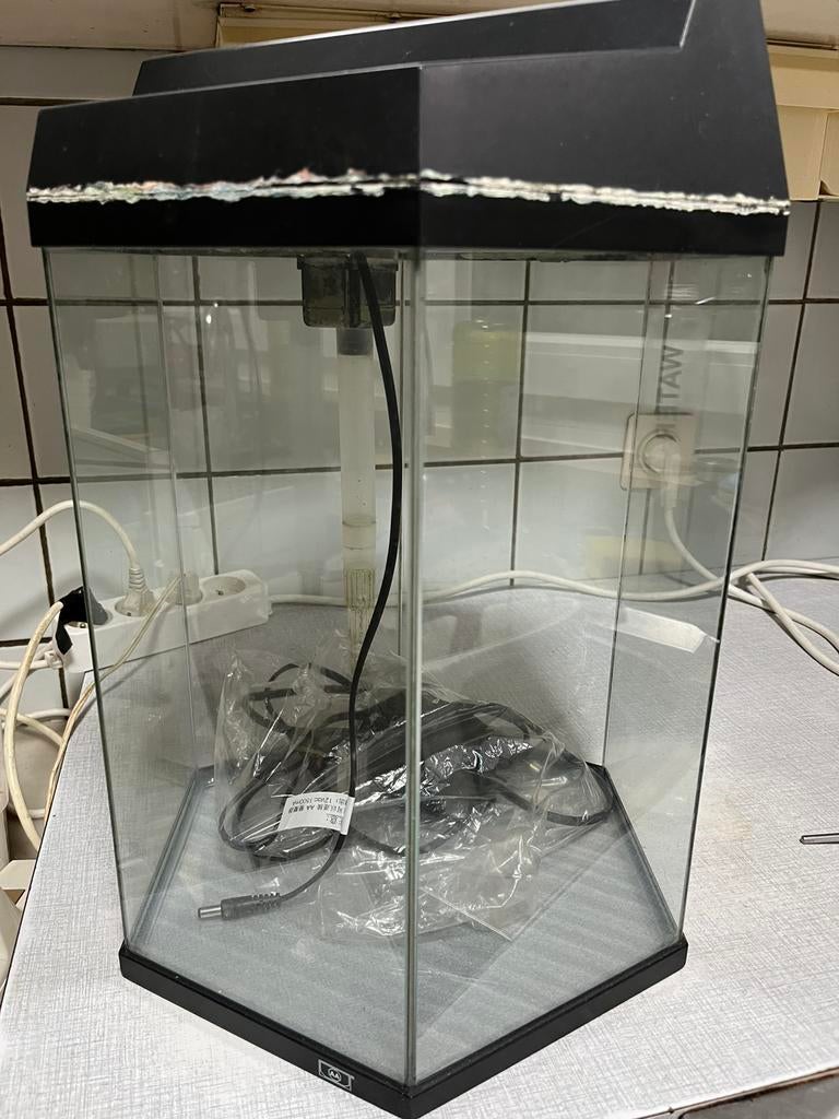 Aquarium, Ophalen, Gebruikt, Leeg aquarium