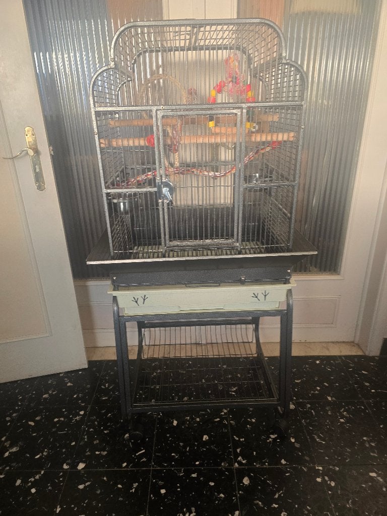 mooie grote vogelkooi, papegaaienkooi, Dieren en Toebehoren, Vogels | Hokken en Kooien, Ophalen, Gebruikt, Metaal, Vogelkooi