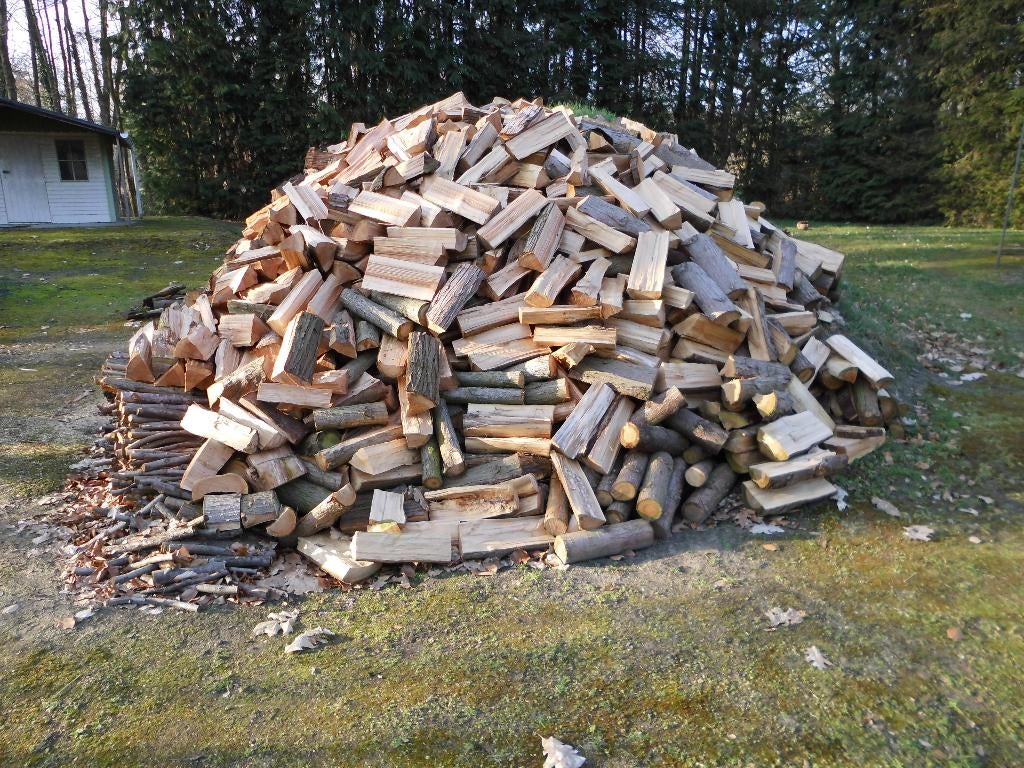 Brandhout van Conifeerbomen, Ophalen