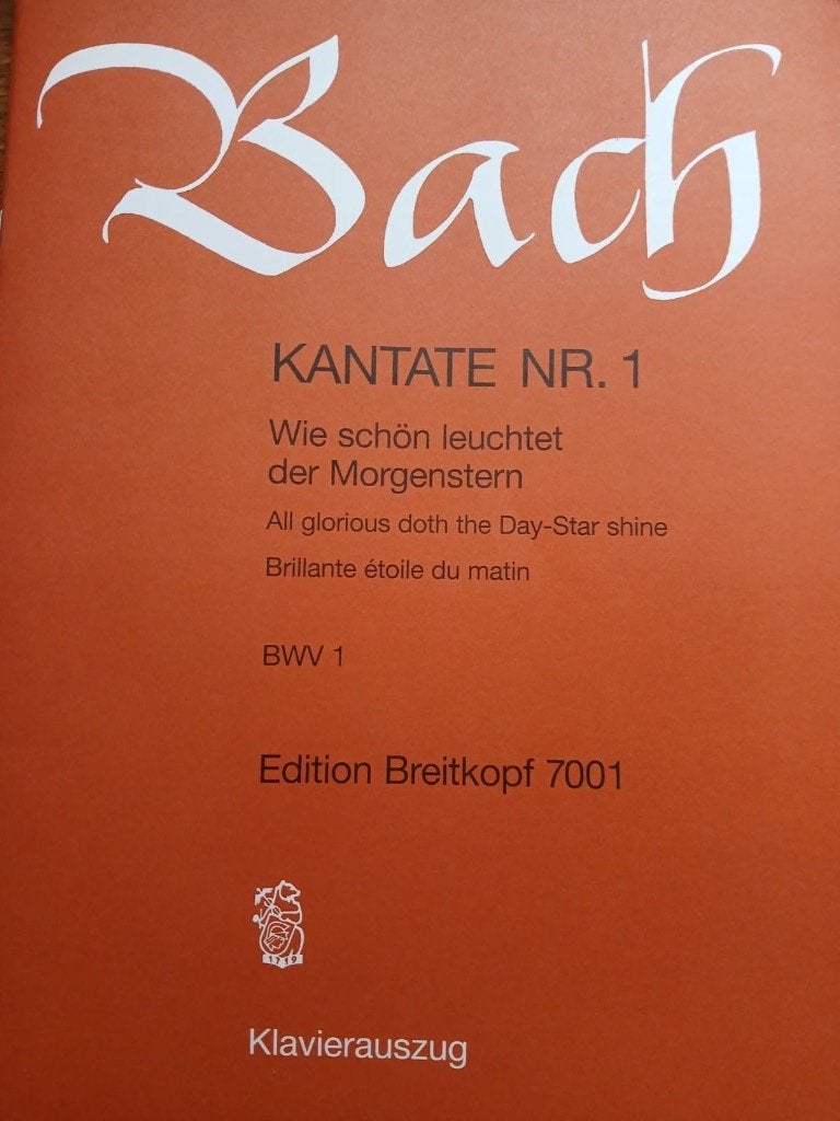 collectie koorpartituren J.S. Bach, Boeken, J.S. Bach, Artiest, Ophalen of Verzenden, Zo goed als nieuw